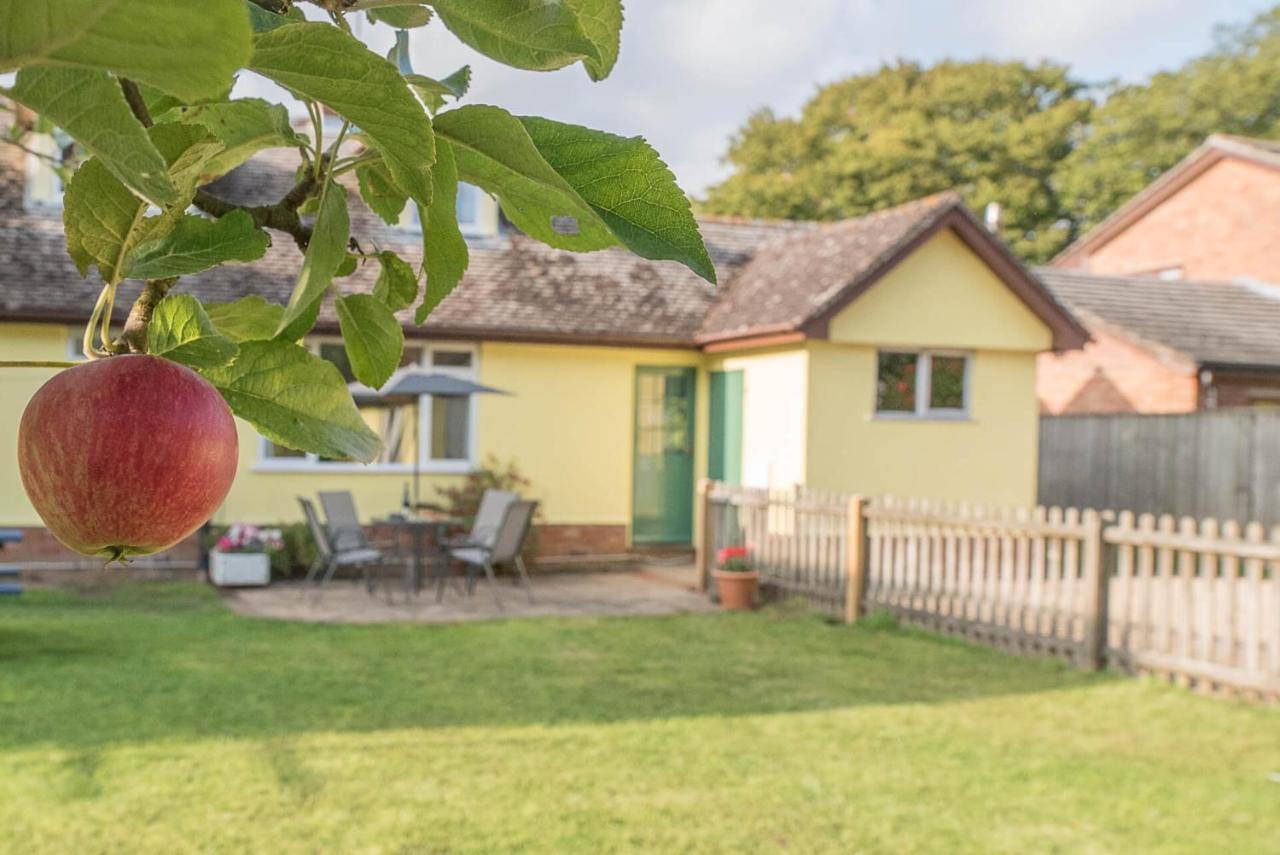 The Spinney Saxtead Nr Framlingham وودبريدج المظهر الخارجي الصورة